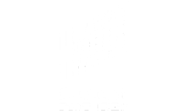 SONY PICTURES ENTERTAINMENT